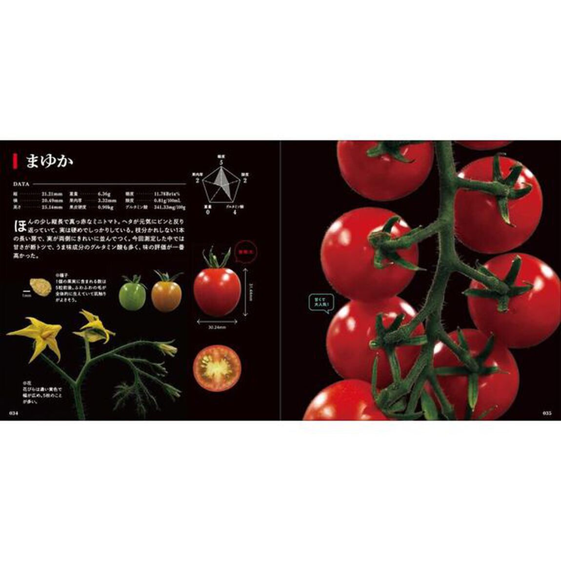 美しいトマトの科学図鑑　東京大学の農場で野菜や果実を育ててみた
