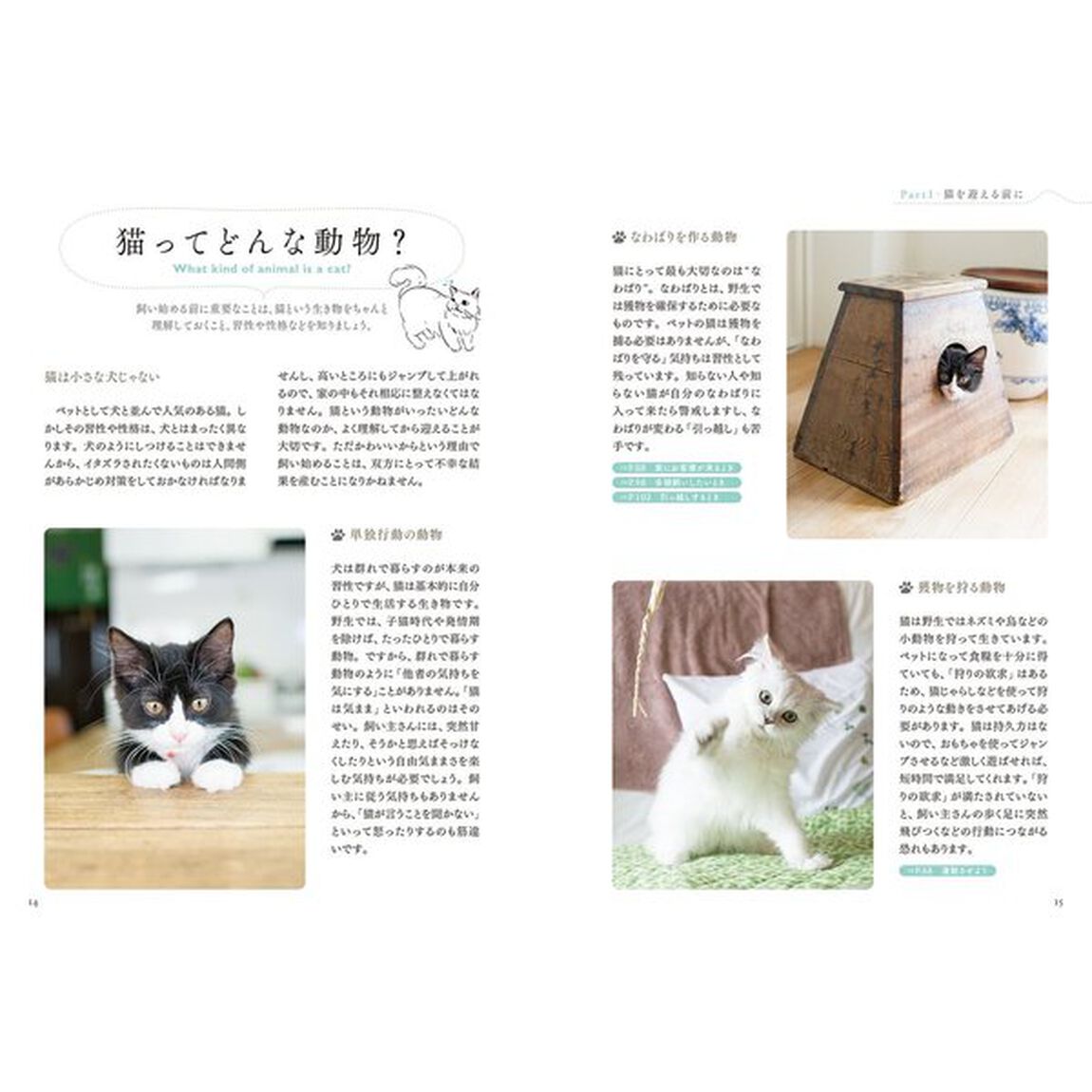 猫を飼う前に読む本　猫専門医が教える