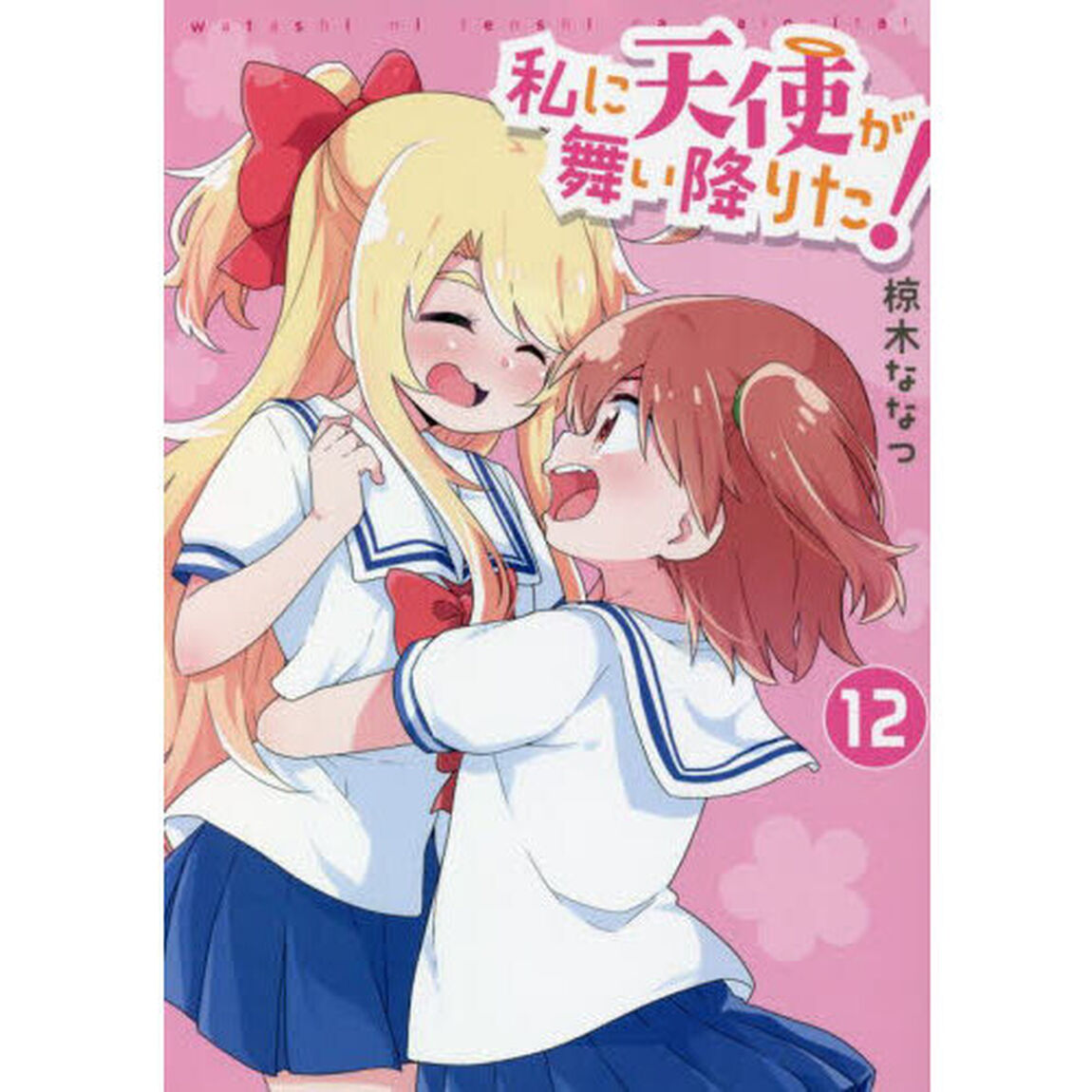 私に天使が舞い降りた！　　１２