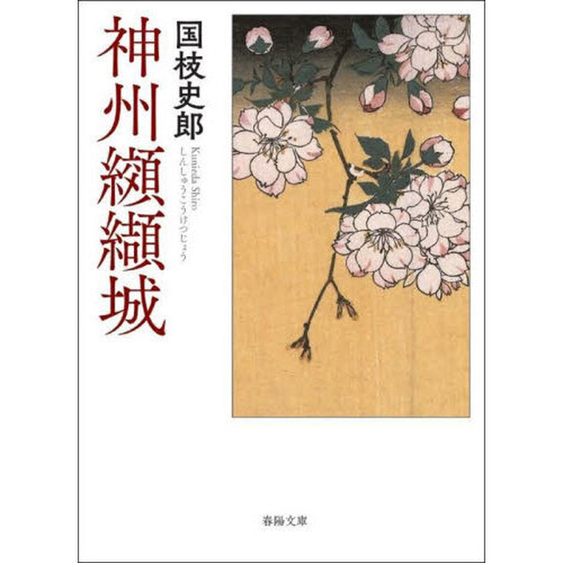 神州纐纈城