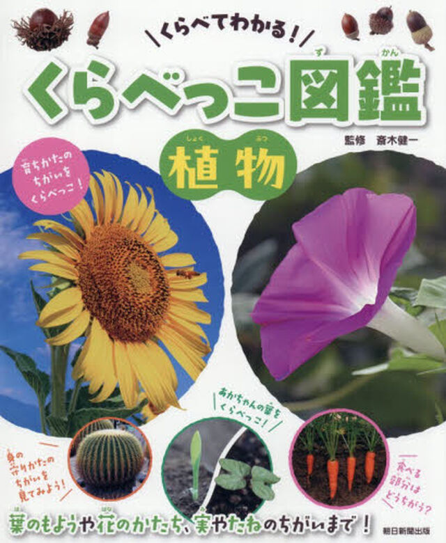 くらべてわかる！くらべっこ図鑑　植物