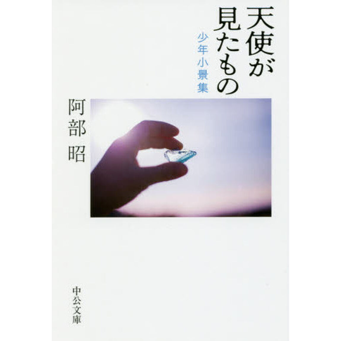 天使が見たもの　少年小景集