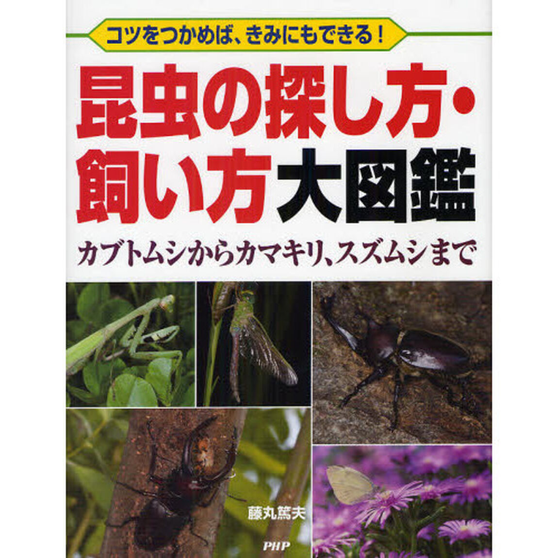 昆虫の探し方・飼い方大図鑑　コツをつかめば、きみにもできる！　カブトムシからカマキリ、スズムシまで