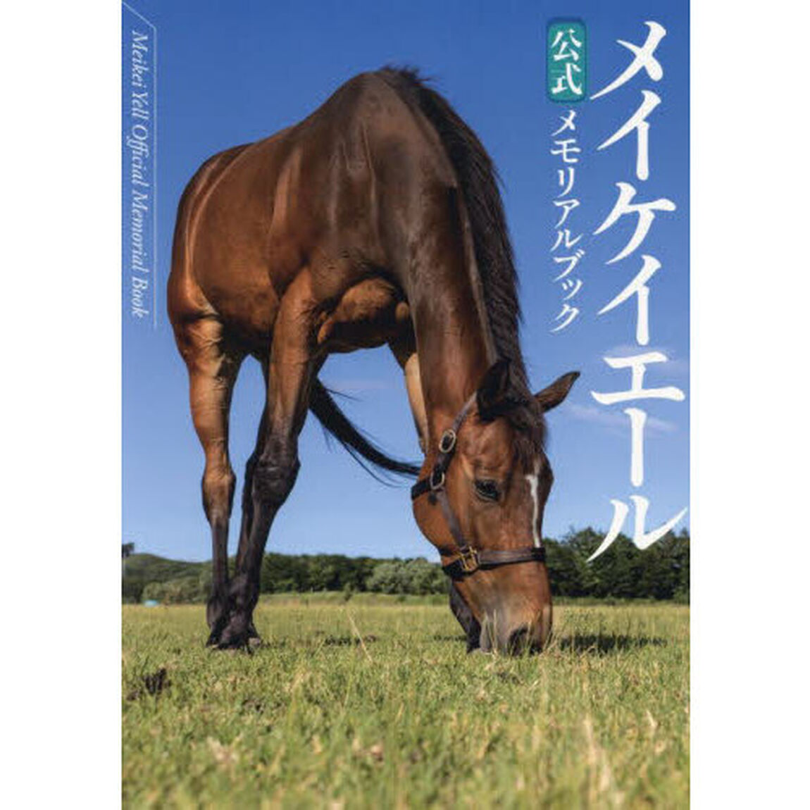 メイケイエール公式メモリアルブック