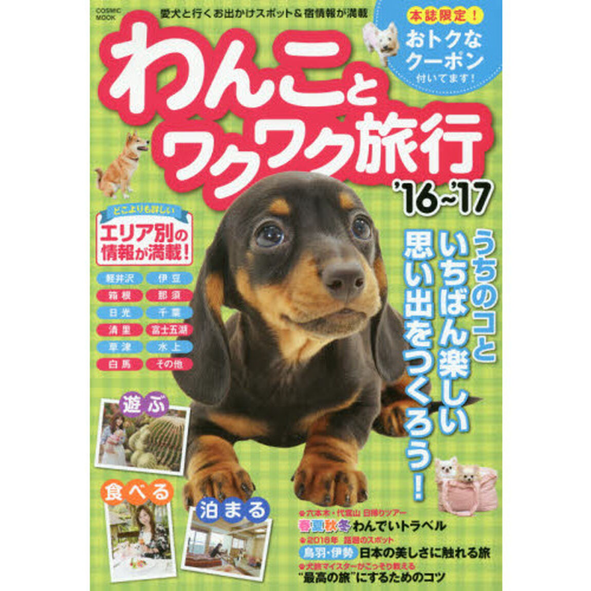 わんことワクワク旅行　愛犬と行くお出かけスポット＆宿情報が満載　&rsquo;１６〜&rsquo;１７