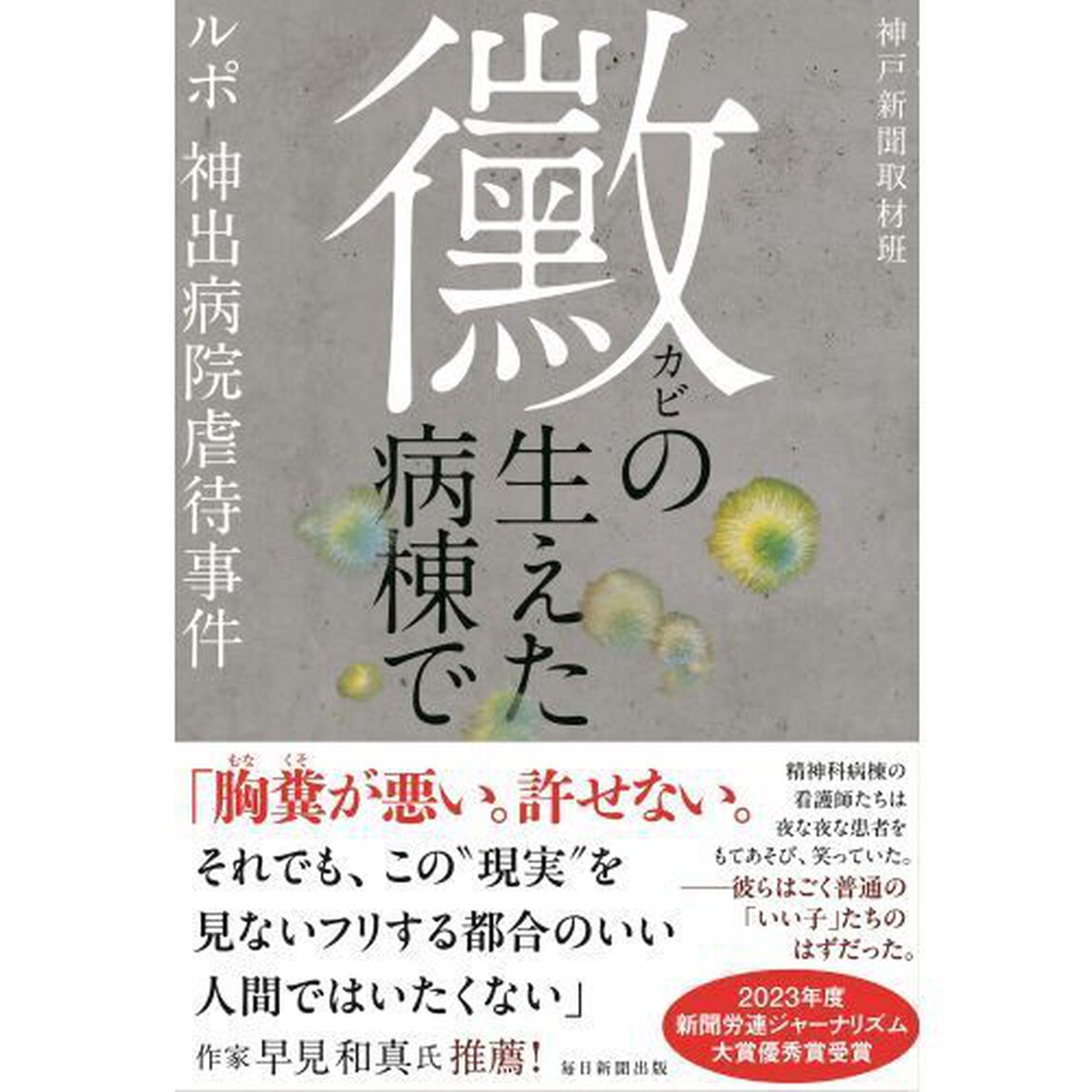 黴の生えた病棟で　ルポ神出病院虐待事件