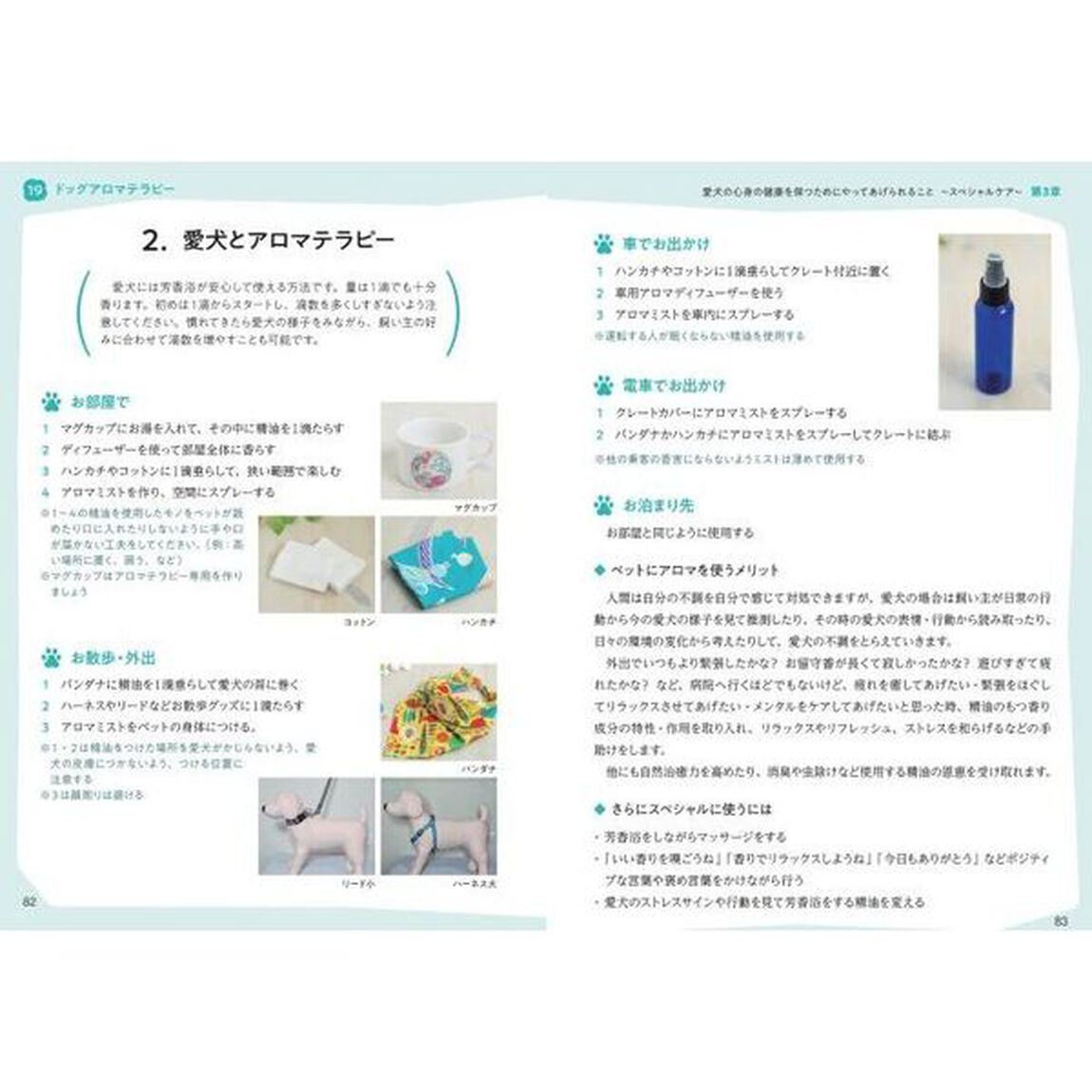 愛犬の健康を守る飼い主のための&ldquo;犬のお手入れ&rdquo;の教科書