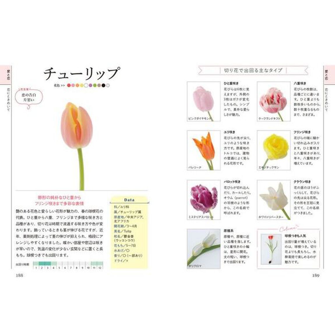 花言葉から探せる花屋さんの「花」図鑑