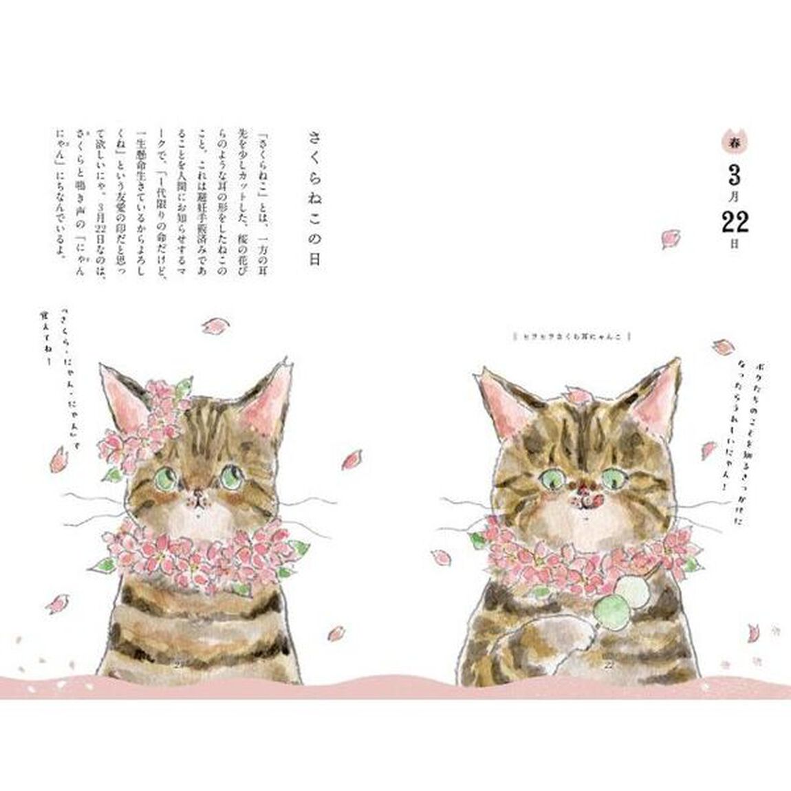 ねこねこ春夏秋冬今日はにゃんの日？