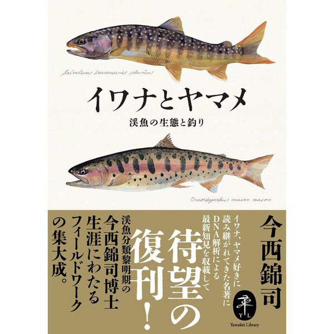 イワナとヤマメ　渓魚の生態と釣り