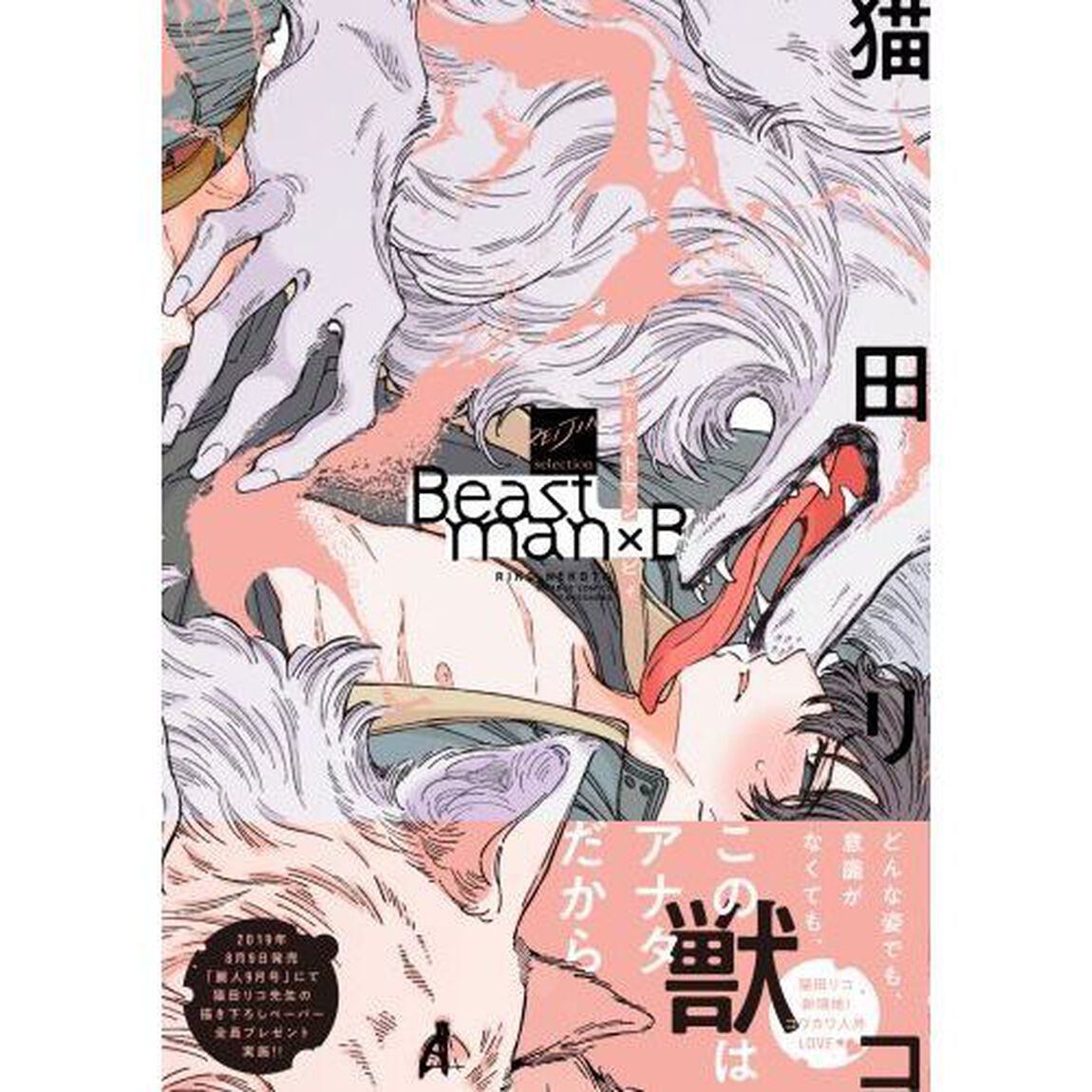 Ｂｅａｓｔｍａｎ&times;Ｂ