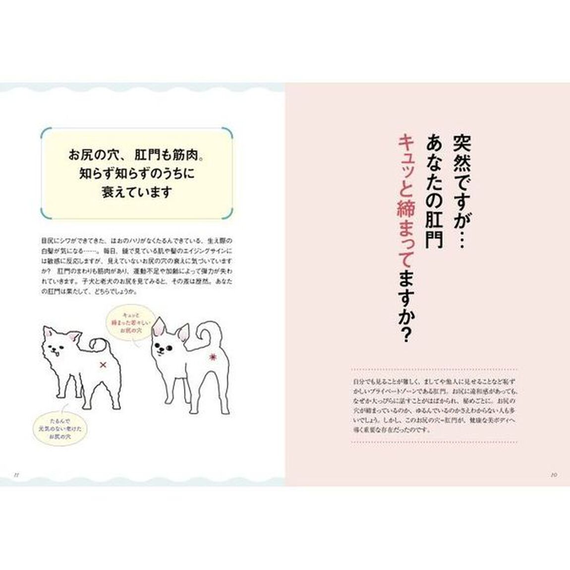 お尻の穴を締めるだけ！肛門筋ダイエット