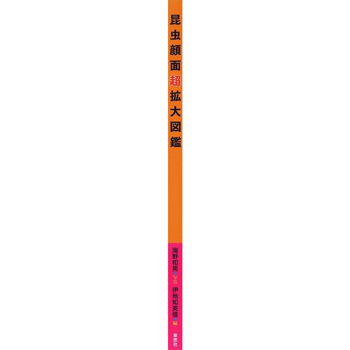 昆虫顔面超拡大図鑑