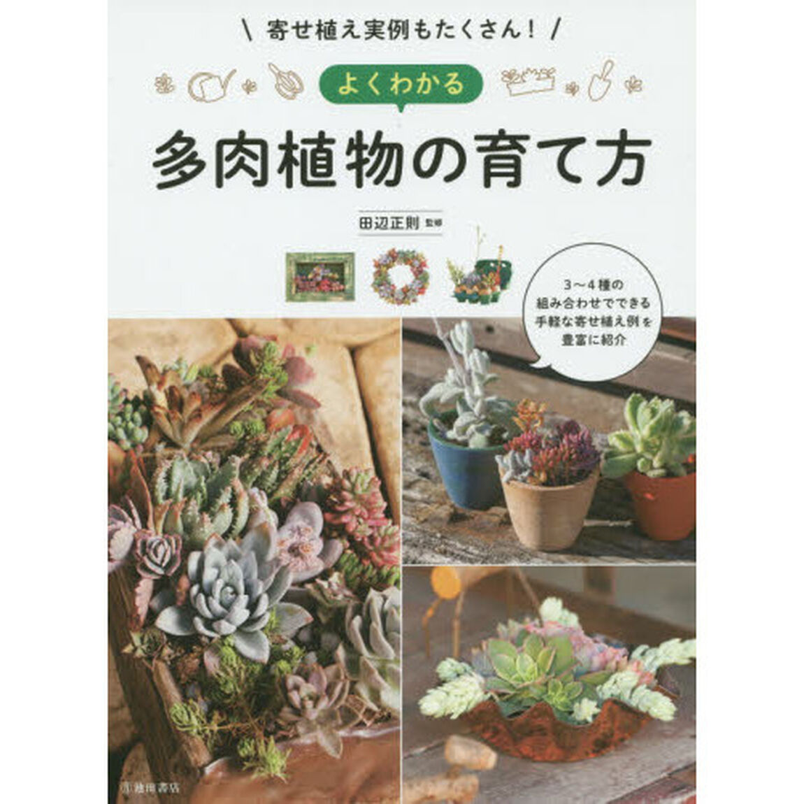 よくわかる多肉植物の育て方　寄せ植え実例もたくさん！