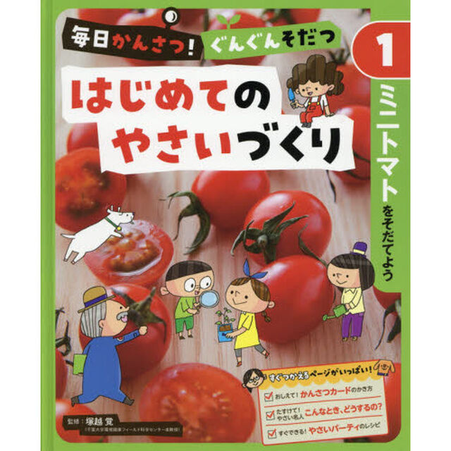 毎日かんさつ！ぐんぐんそだつはじめてのやさいづくり　１「ミニトマトをそだてよう」