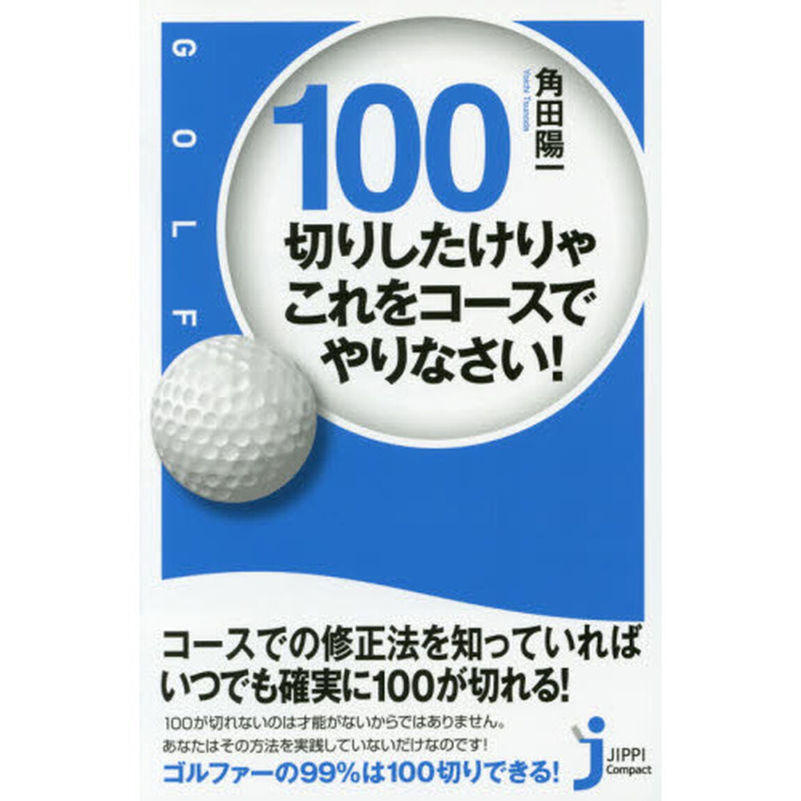 １００切りしたけりゃこれをコースでやりなさい！　ゴルフ