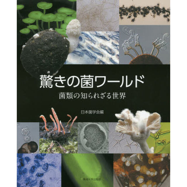 驚きの菌ワールド　菌類の知られざる世界