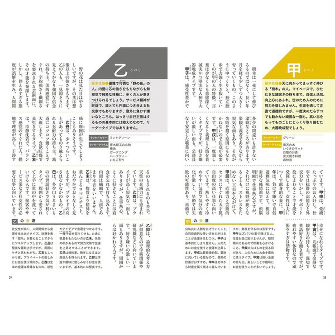 昇龍の四柱推命開運暦　２０１８年版