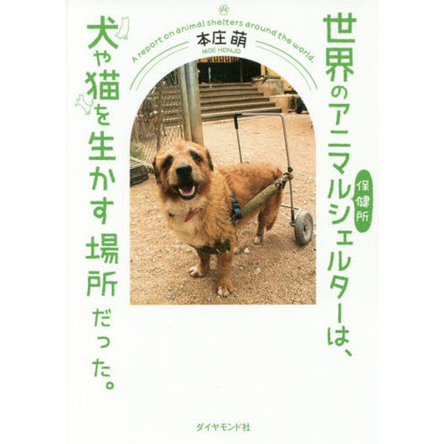 世界のアニマルシェルターは、犬や猫を生かす場所だった。