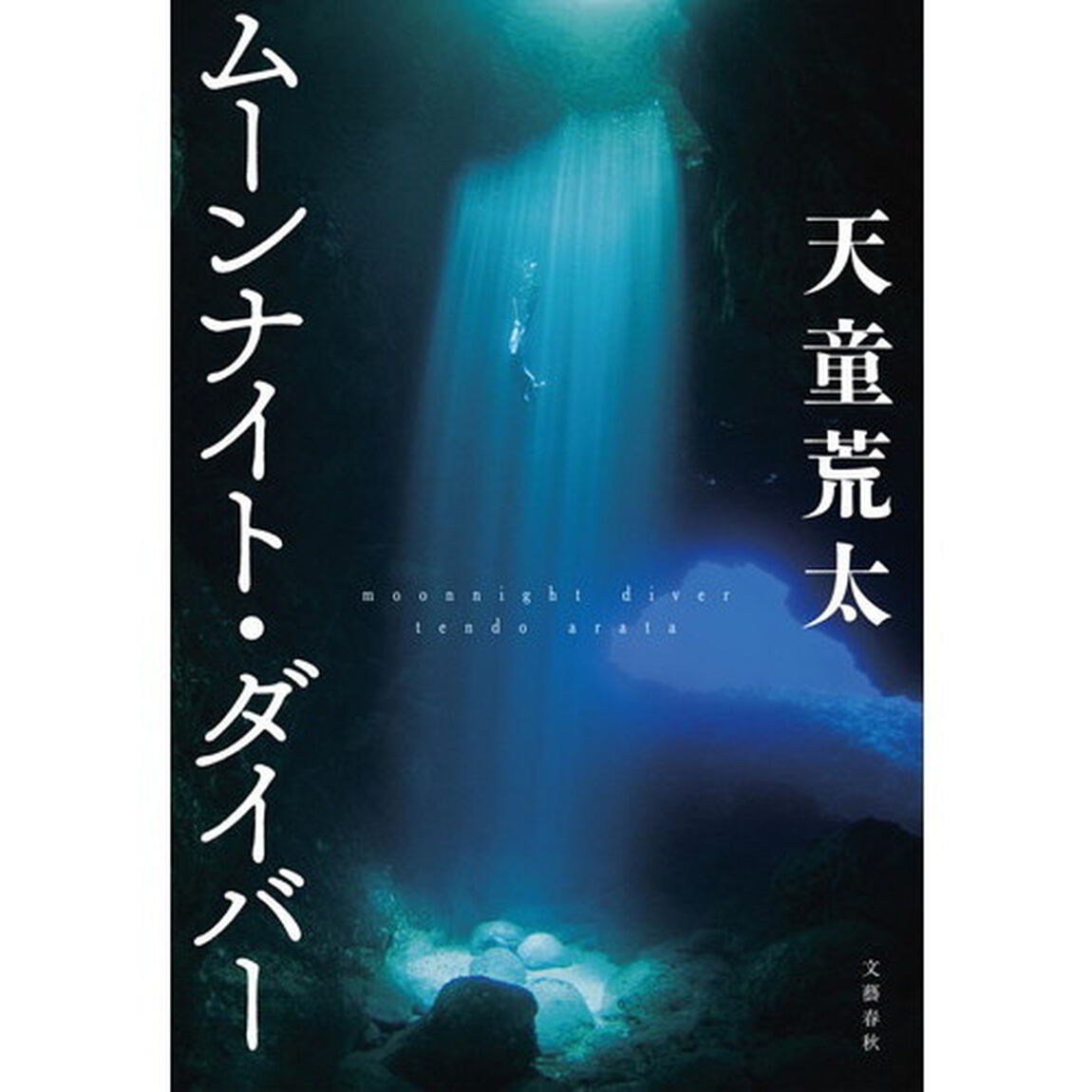 ムーンナイト・ダイバー