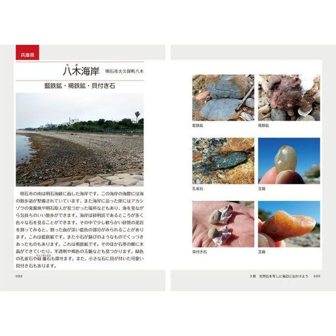 海辺で写す天然石