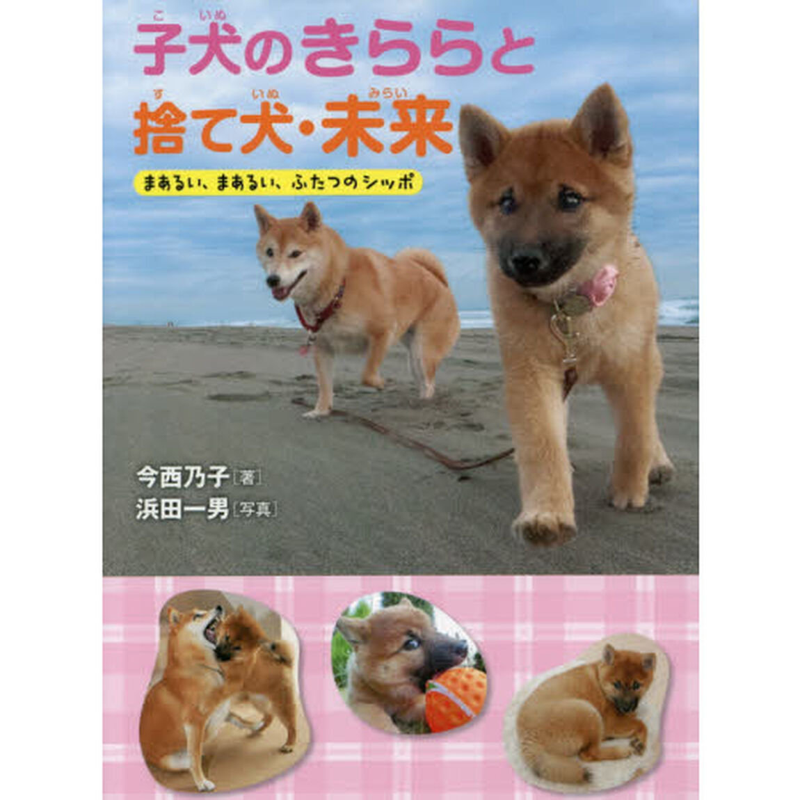 子犬のきららと捨て犬・未来　まあるい、まあるい、ふたつのシッポ