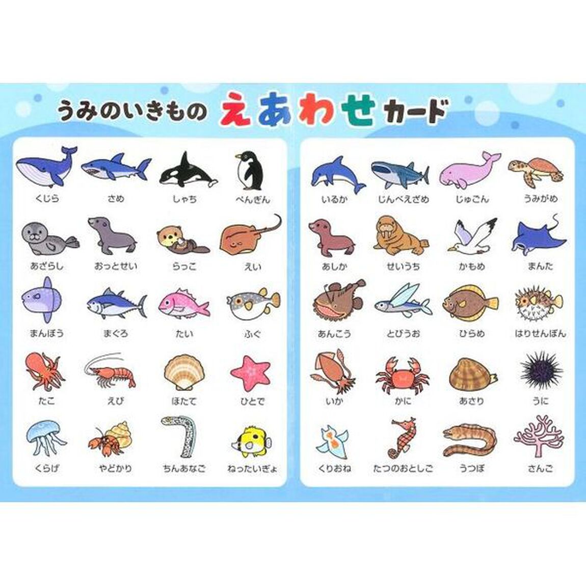 うみのいきもの　えあわせカード
