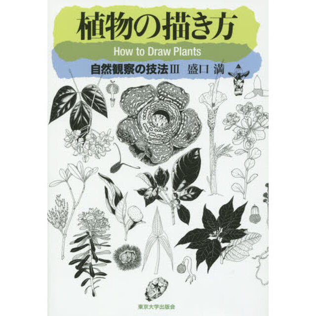 植物の描き方　自然観察の技法　３