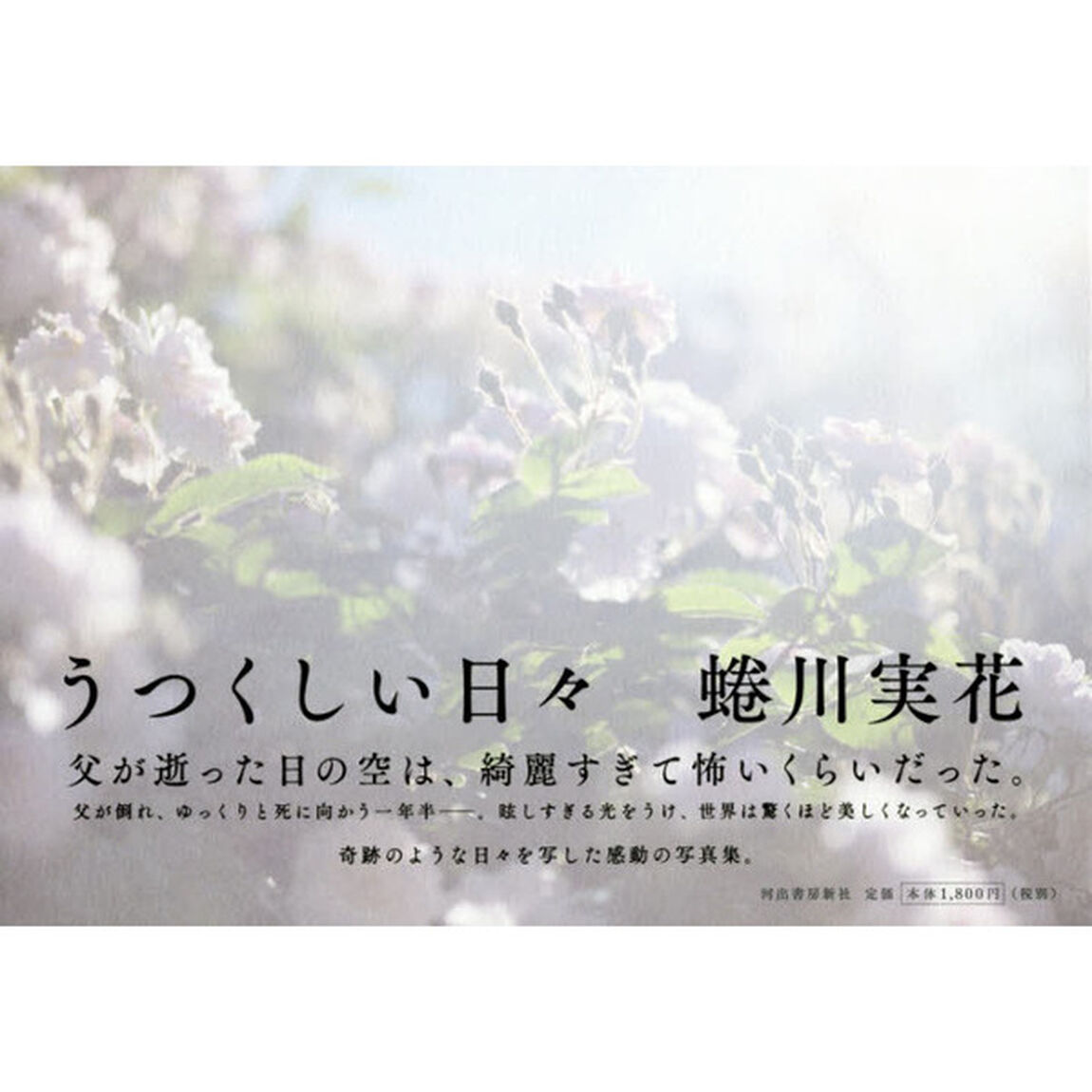 うつくしい日々