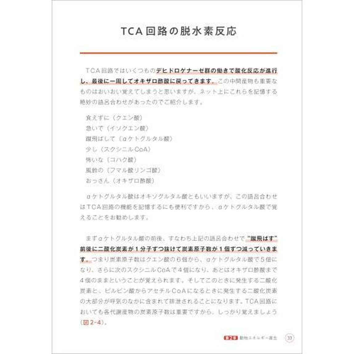 忙しい人のための代謝学　ミトコンドリアがわかれば代謝がわかる