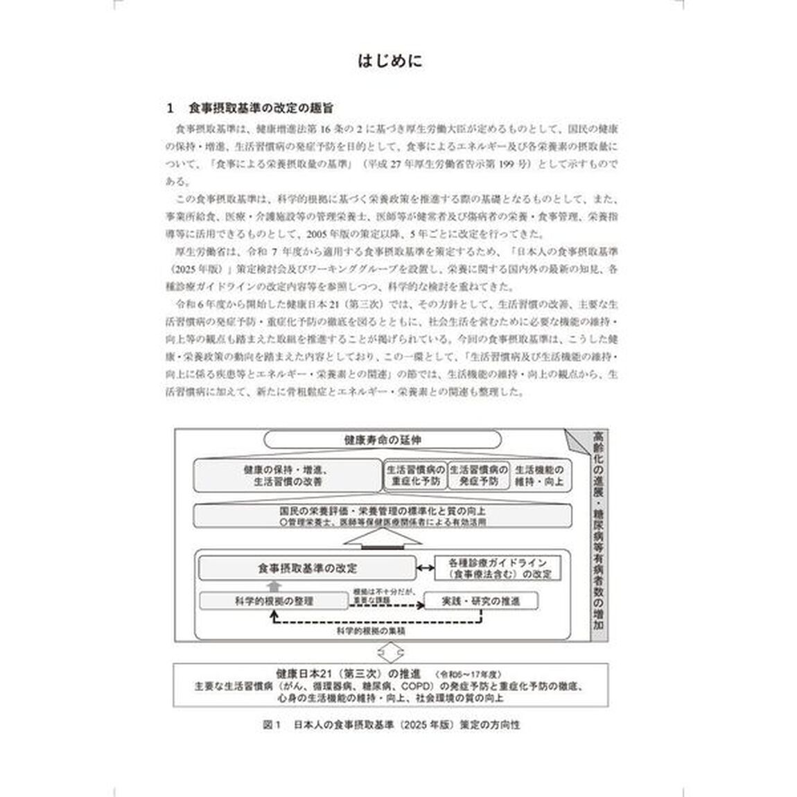 日本人の食事摂取基準　厚生労働省「日本人の食事摂取基準」策定検討会報告書　２０２５