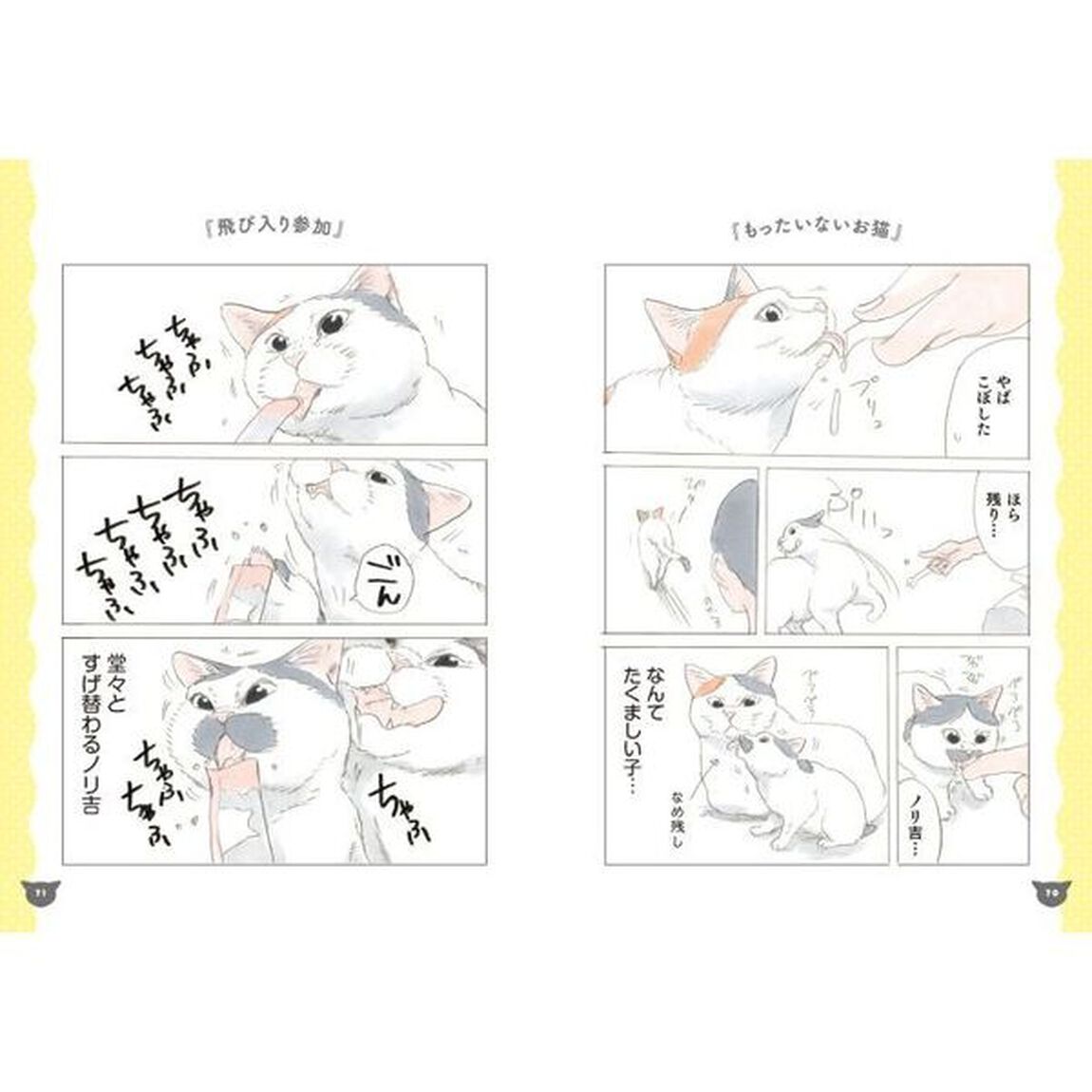 ノリ吉は大吉猫