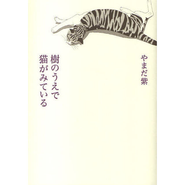 樹のうえで猫がみている