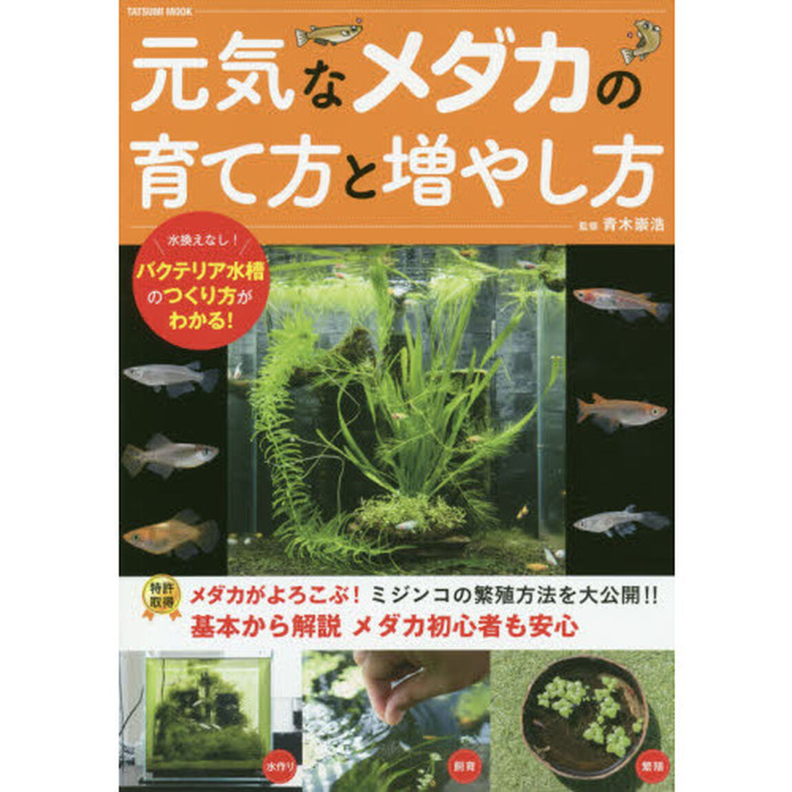 元気なメダカの育て方と増やし方　自宅で増やせるミジンコ繁殖術