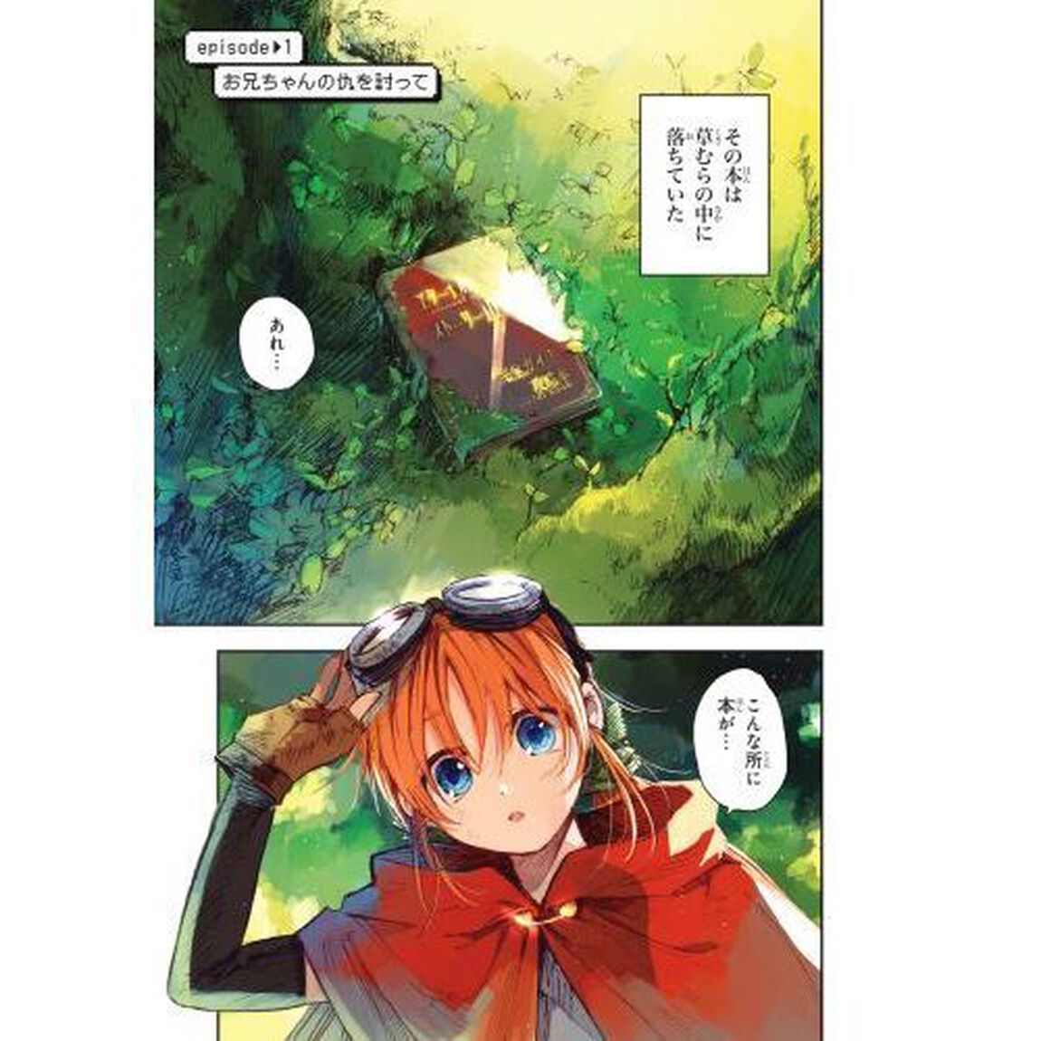 この世界の攻略本を拾ってしまいました　１