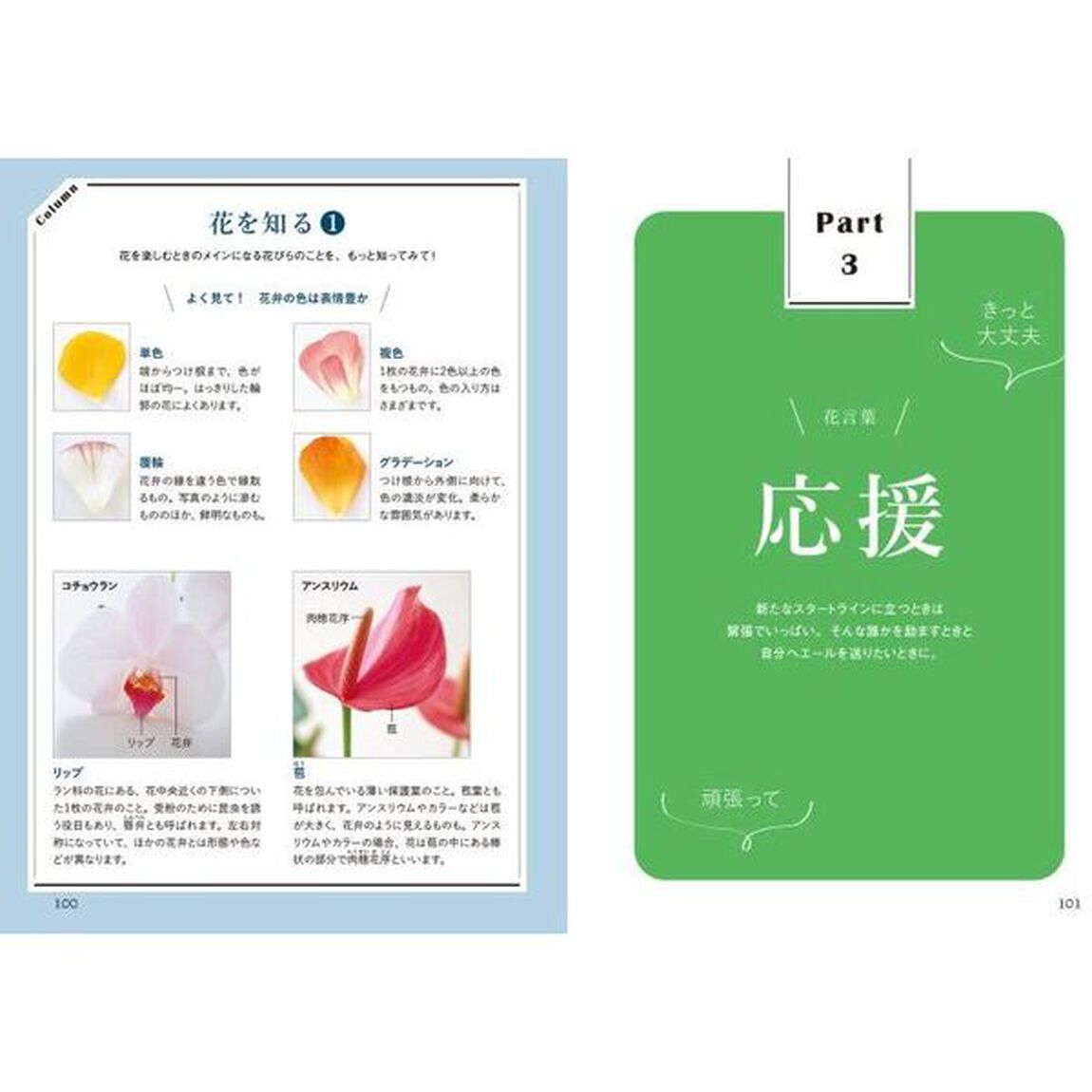 花言葉から探せる花屋さんの「花」図鑑