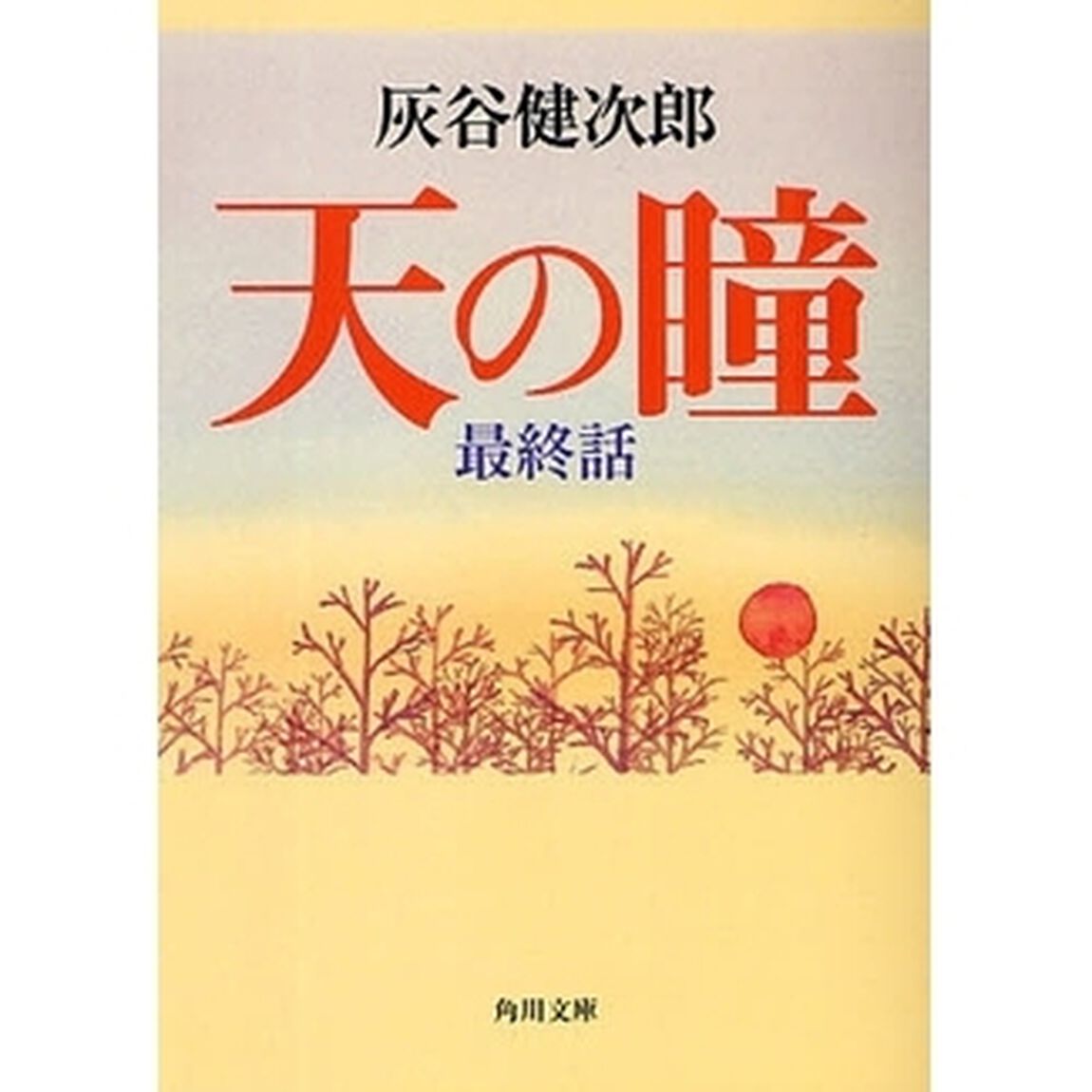 天の瞳　最終話