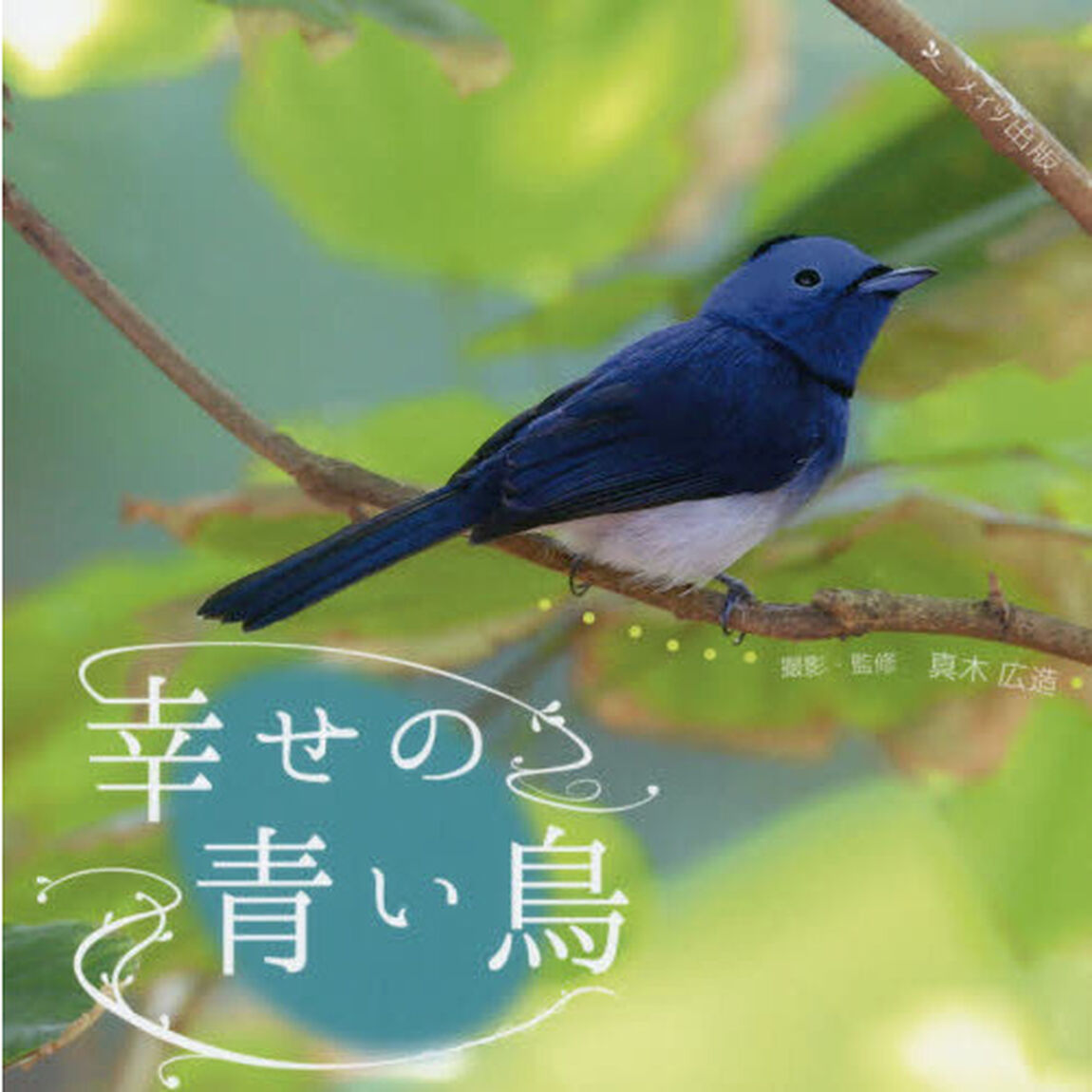 幸せの青い鳥