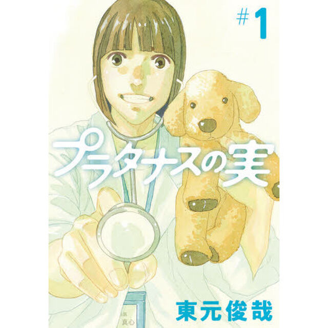 プラタナスの実　＃１