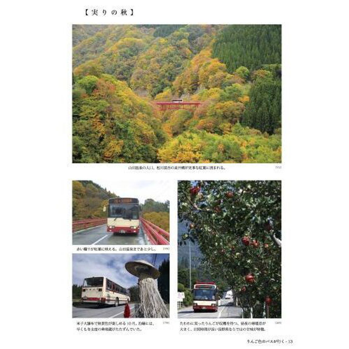 りんご色のバスが行く　長電バス分社３０周年記念フォトブック