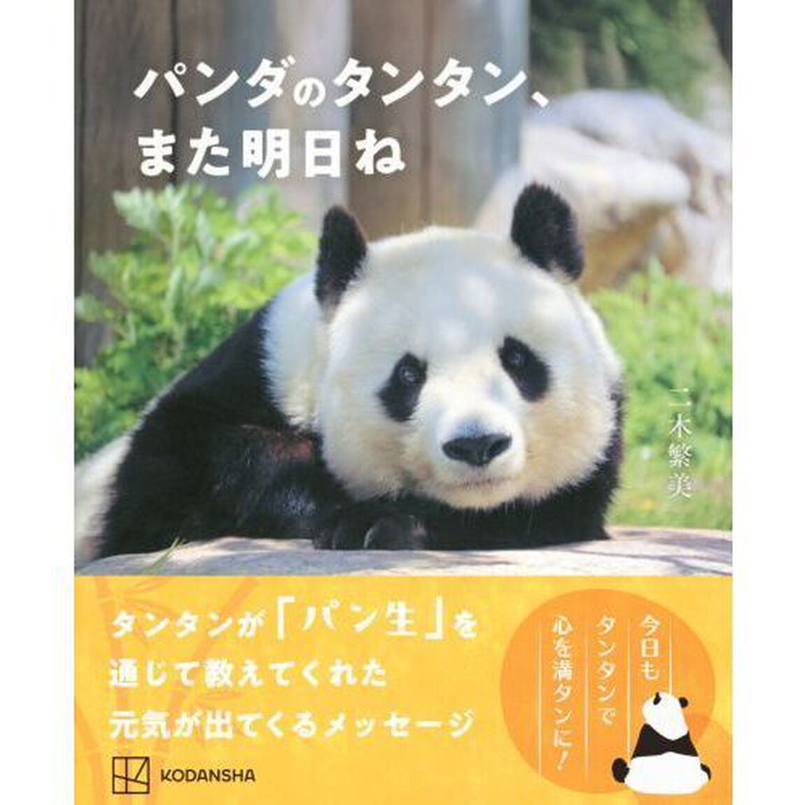 パンダのタンタン、また明日ね