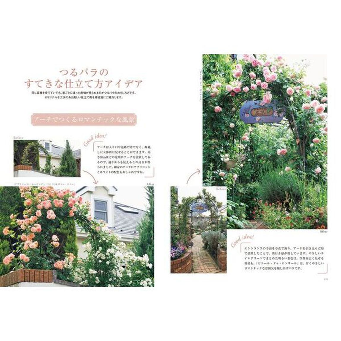 はじめてのバラづくり１２か月　いちばんていねいでやさしい「新版」