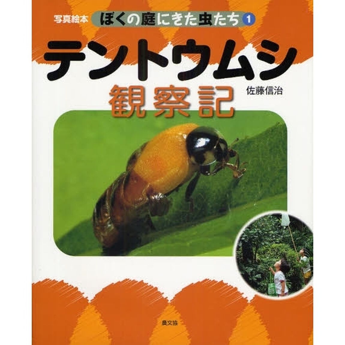 ぼくの庭にきた虫たち　写真絵本　１「テントウムシ観察記」