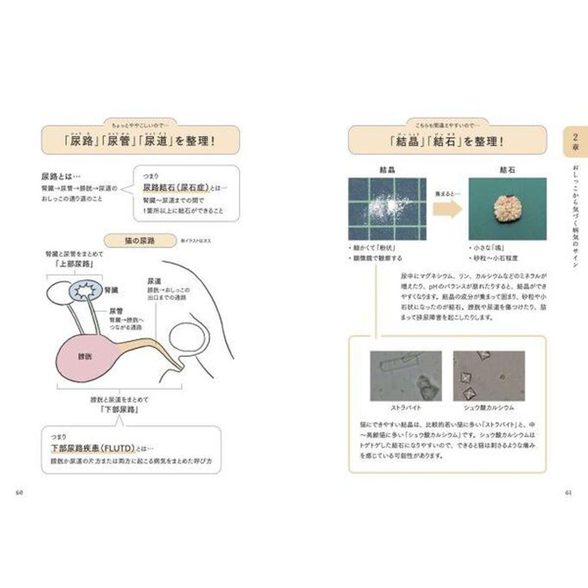 猫の病気のサインがわかる図鑑　体調不良や痛みを見逃さないために