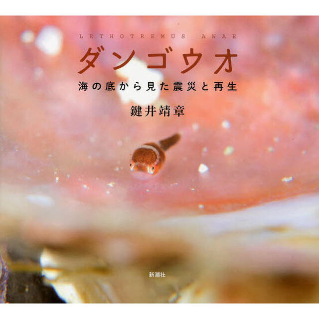 ダンゴウオ: 海の底から見た震災と再生