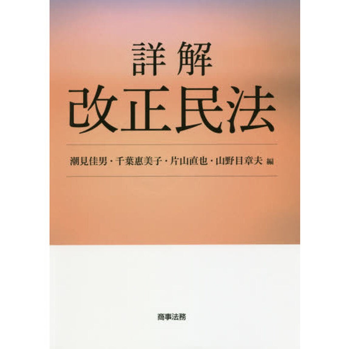 詳解改正民法