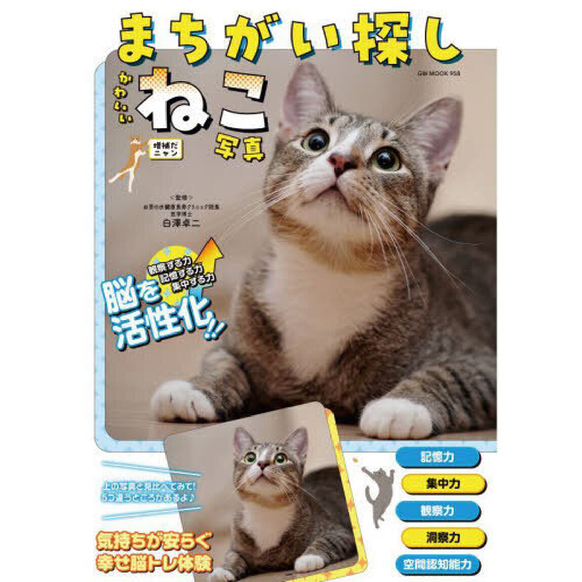 まちがい探しかわいいねこ写真「増補だニャン」