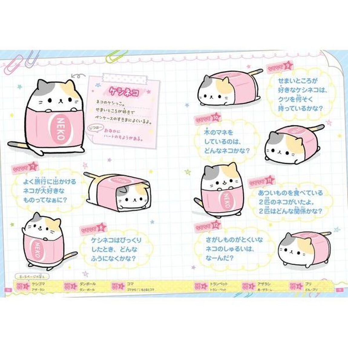 ケシっこむぎゅっとなぞなぞブック　２５０もん