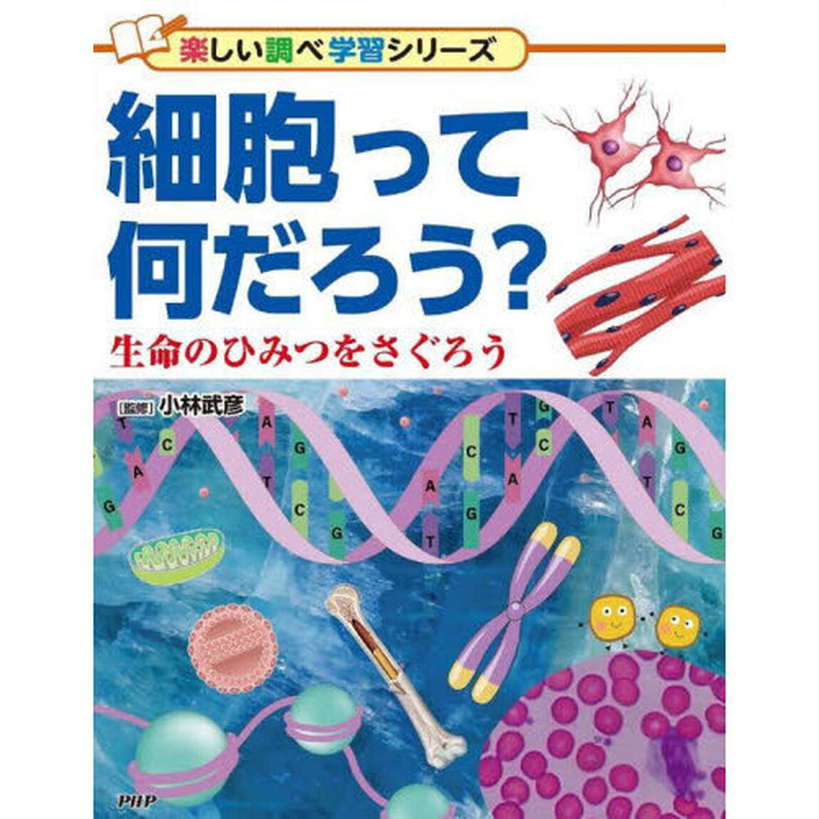 細胞って何だろう？ 生命のひみつをさぐろう