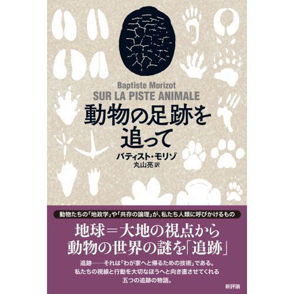 動物の足跡を追って